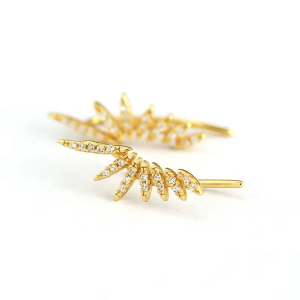 Clearwater Crystal Crawlers